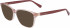 Longchamp LO2659-51 sunglasses in Peach