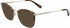 Longchamp LO2660 sunglasses in Havana