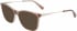 Longchamp LO2674 sunglasses in Brown