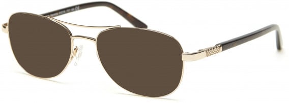 Skaga SK2616 KANELROS-51 sunglasses in Shiny Gold