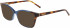 DKNY DK5034 sunglasses in Soft Tortoise/Navy