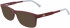 Lacoste L2876 sunglasses in Burgundy Matte