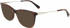 Longchamp LO2674 sunglasses in Warm Havana