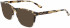Calvin Klein CK21502-55 sunglasses in Khaki Tortoise