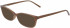 DKNY DK5006 sunglasses in Mink