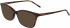DKNY DK5013 sunglasses in Soft Tortoise