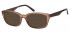 Sunglasses in Brown