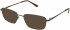 Marchon M-2015 sunglasses in Dark Brown