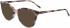DKNY DK5003 sunglasses in Blush Tortoise