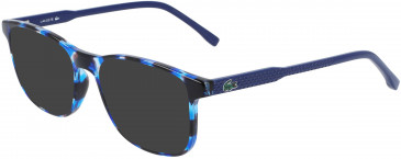 Lacoste L3633 sunglasses in Havana/Blue