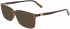 Salvatore Ferragamo SF2894 sunglasses in Crystal Brown