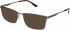 Skaga SK3010 STIEG sunglasses in Burgundy