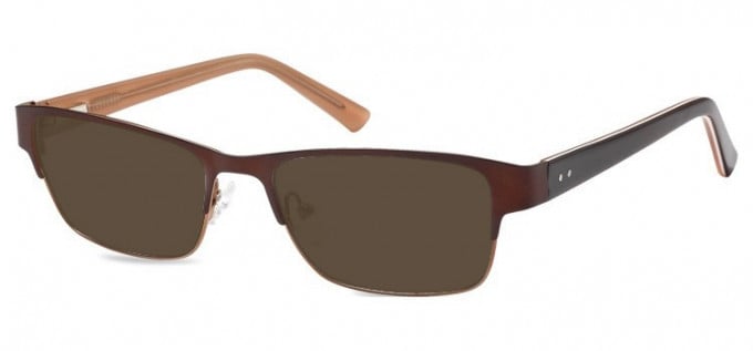 Sunglasses in Brown