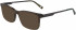 Marchon M-3008 sunglasses in Brown/Green Horn