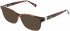 Longchamp LO2678 sunglasses in Marble Rose