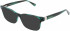 Longchamp LO2678 sunglasses in Striped Green