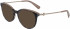 Longchamp LO2667 sunglasses in Blue Havana