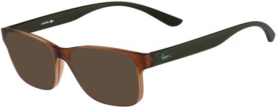Lacoste L3804B sunglasses in Brown Matte