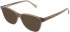 Lacoste L2879 sunglasses in Brown