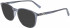 Salvatore Ferragamo SF2895 sunglasses in Crystal Grey