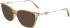 Salvatore Ferragamo SF2891 sunglasses in Crystal Brown