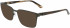 Dragon DR7005 sunglasses in Matte Olive