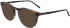 DKNY DK5023 sunglasses in Khaki Tortoise