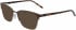 DKNY DK3002 sunglasses in Brown