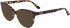 Calvin Klein CK21503 sunglasses in Amber Tortoise