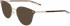 Calvin Klein CK21303 sunglasses in Satin Brown