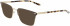 Calvin Klein CK21302 sunglasses in Satin Dark Brown