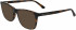 Calvin Klein CK20526 sunglasses in Dark Tortoise