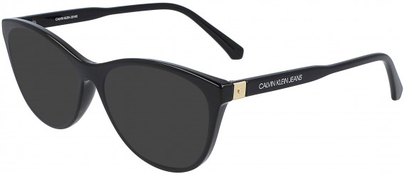 Calvin Klein Jeans CKJ20510 sunglasses in Black