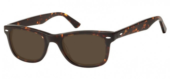 Sunglasses in Turtle