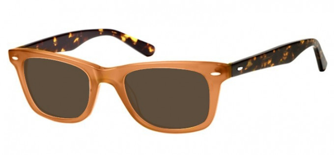 Sunglasses in Brown
