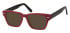 Sunglasses in Burgundy/Black