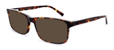 Jasper Conran JCM006 Sunglasses in Brown Tort
