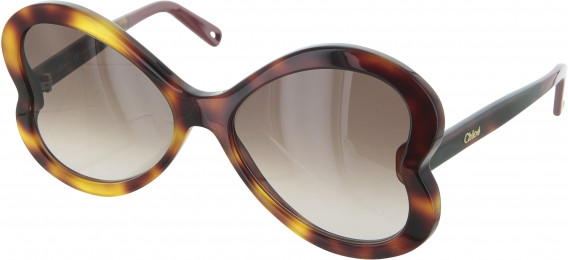 Chloé CE764S sunglasses in Havana