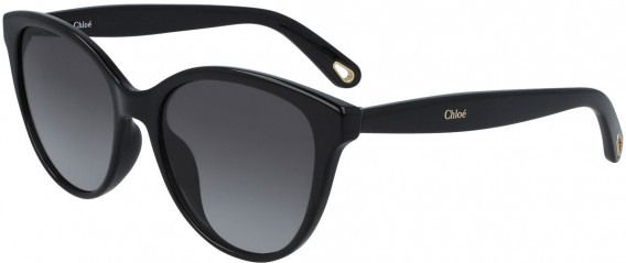 Chloé CE767S sunglasses in Black
