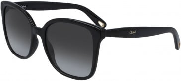 Chloé CE766S sunglasses in Black