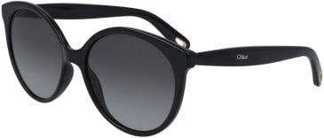 Chloé CE765S sunglasses in Black