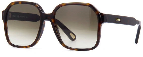 Chloé CE761S sunglasses in Tortoise