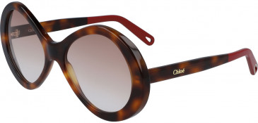 Chloé CE2743S sunglasses in Tortoise