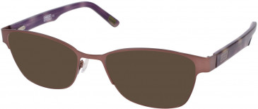 Barbour BI-036 sunglasses in Brown