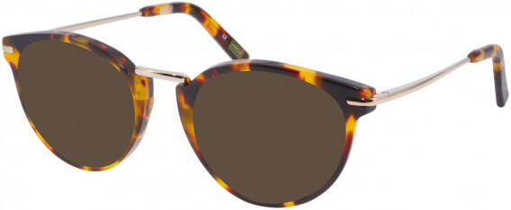 Barbour BI-032 sunglasses in Tort