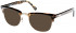 Barbour BI-011-52 sunglasses in Tort