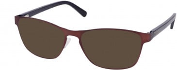 Barbour B065-51 sunglasses in Brown