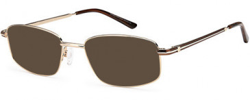Sakuru SAK1011T sunglasses in Gold Brown