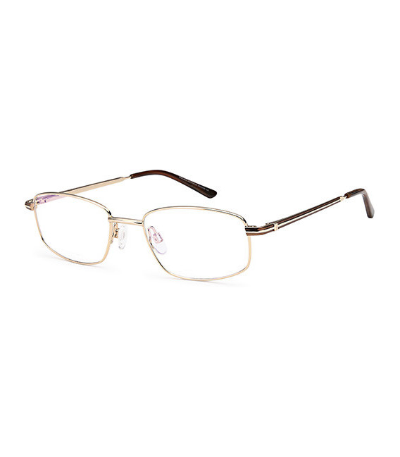 Sakuru SAK1011T glasses in Gold Brown
