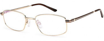 Sakuru SAK1011T glasses in Gold Brown